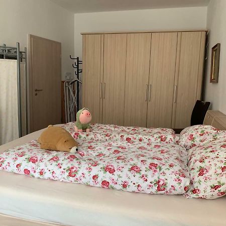 Ferienwohnung Annaberg-Buchholz Εξωτερικό φωτογραφία