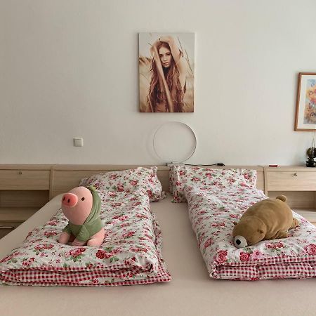Ferienwohnung Annaberg-Buchholz Εξωτερικό φωτογραφία