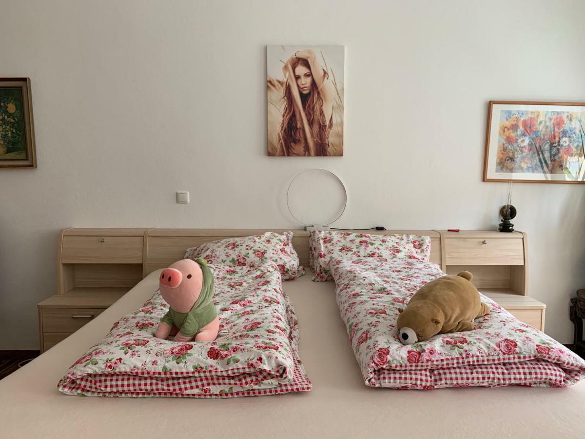 Ferienwohnung Annaberg-Buchholz Εξωτερικό φωτογραφία